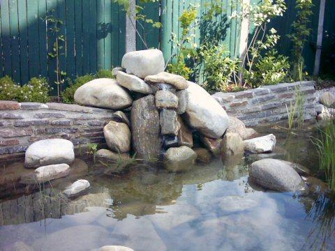 Biotope & Schwimmteiche 1