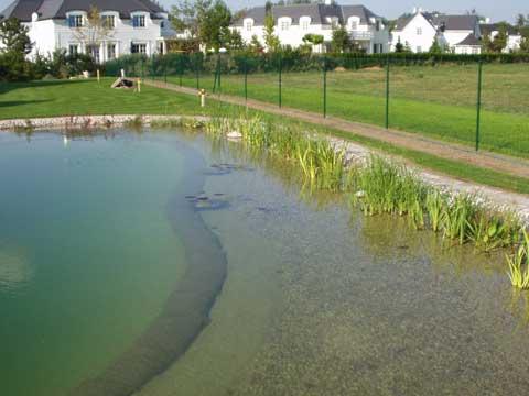 Biotope & Schwimmteiche 10