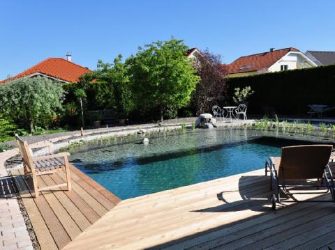 Biotope & Schwimmteiche 13
