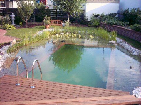 Biotope & Schwimmteiche 2