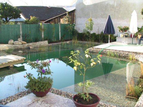 Biotope & Schwimmteiche 3