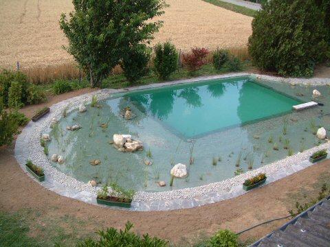 Biotope & Schwimmteiche 4