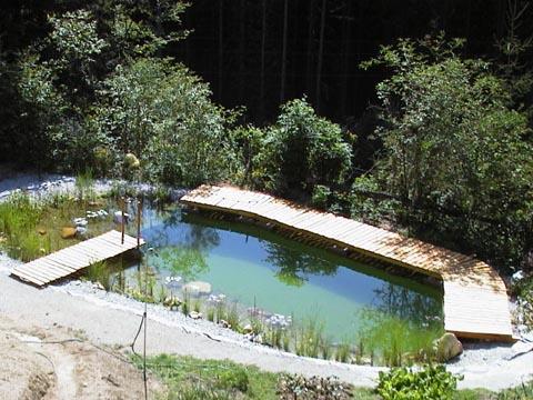 Biotope & Schwimmteiche 5