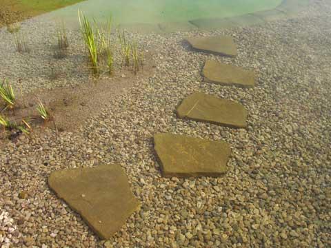 Biotope & Schwimmteiche 6