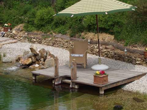 Biotope & Schwimmteiche 7