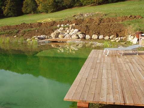 Biotope & Schwimmteiche 8