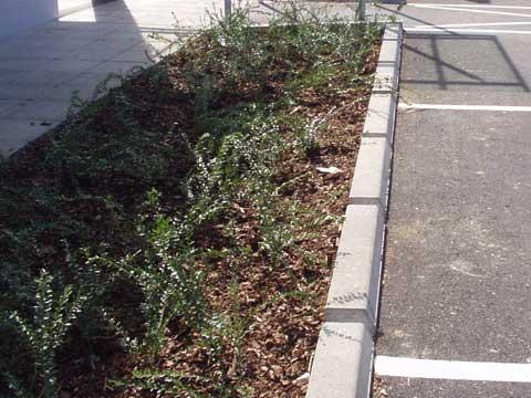 Neuanlagen 5