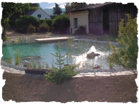 Biotope & Schwimmteiche